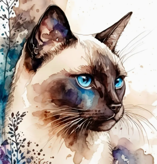 Diamond Painting Siam Katze